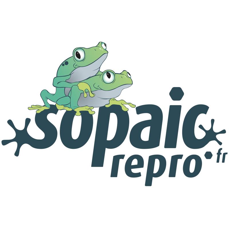 SOPAIC REPRO