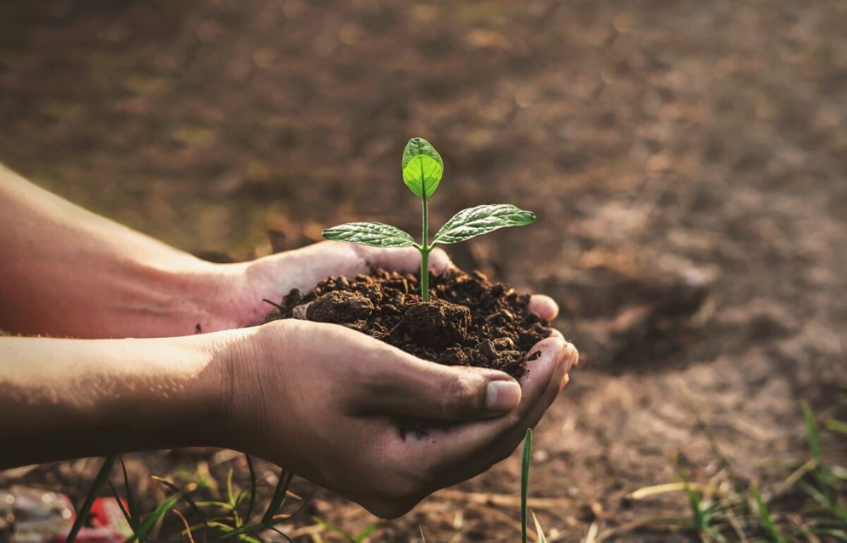 BIODIVERSITÉ & ALIMENTATION