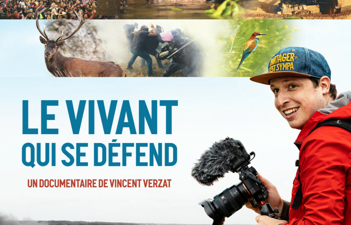 LES DOCUMENTAIRES AVEC L'IDÉAL